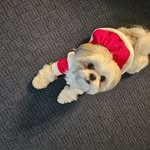 Patti Ragland Lyerly - @lyerlypatti - Instagram