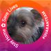 Pat Raines - Facebook