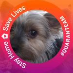 Pat Raines - @patsyrainrd - Instagram