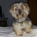 pat. raines - @pat._raines - Instagram