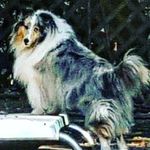 Pat Raines Pate - @ppate53 - Instagram