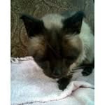 Pat and Ralph - @senior_buzzells - Instagram