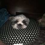 Janette Patterson Ralston - @pattersonralston - Instagram