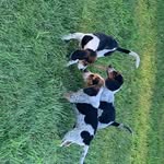 Pat Ralston - @ralston_pat - Instagram