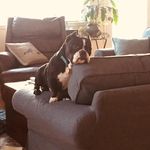 Pat Ramage - @pramage1954 - Instagram
