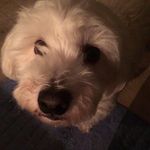 Pat Rambold - @patriciarambold - Instagram