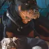 Patti Randall - @patti.randall - TikTok