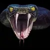 Petar Snake - @petarsnake - TikTok