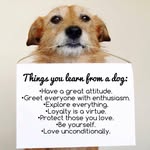 Pat Reddy - @patfromil - Instagram