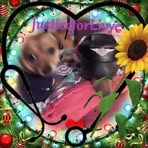 Pat Redmon - Facebook