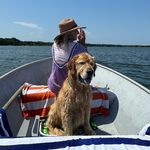 Pat Reinhardt - @patreinhardt5 - Instagram