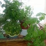 Pat Reinhardt - @prein16 - Instagram