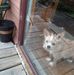 Pat Roche - Facebook