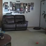 Pat Roe - @pat.roe.752 - Instagram
