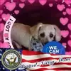 Pat Roe - @pat.roe - TikTok