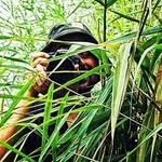 Pat Roody - @pat_roody - Instagram