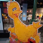 Pat Rosenthal - @patr0316 - Instagram