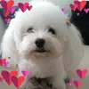 patourosenthal - @patourosenthal - TikTok