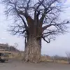 patriciarosenthal1 - @patricia.rosentha6 - TikTok