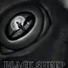 Blk_Sheep - @patrushingjr - TikTok
