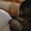 Pat Rushing - @pat.rushing0 - TikTok