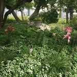 Pat Rutherford - @__prutherford__ - Instagram