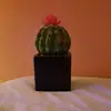 Pat Rutherford - @pat.rutherford0 - TikTok