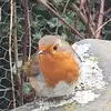 patrutherford59 - @patrutherford59 - TikTok