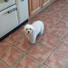 Pat Ryan - @pat.ryan3 - TikTok