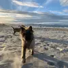 Pat Ryan - @patryan09 - TikTok