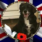 Pat Sansom - Facebook
