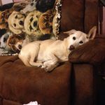 Pat Bingham Sargent - @sargent6556 - Instagram