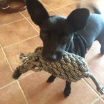 Pat Sargent - @sargent.pat - Instagram