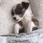 Pat Sargent - Facebook