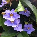 Pat Schafer - @schafer.pat - Instagram