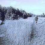 Pat Schroeder - @pat.schroeder.735 - Instagram