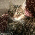 Pat Sears - @searspat - Instagram