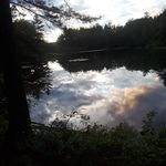 Pat Sears - @pat.sears.92 - Instagram