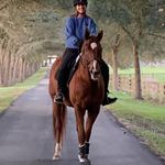 Patti Warner Sears - @patti.w.sears - Instagram