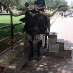 Pat Shafer - @pat.shafer.73 - Instagram