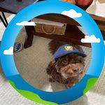 Patricia Shaffer - @patshaffer50 - Instagram