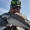 1jamespatshipley1 - @1jamespatshipley1 - TikTok
