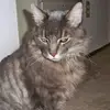 patrick shipley - @patrick.shipley - TikTok