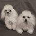 Patricia Sipes - Facebook