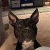 Patricia Sipes - Facebook