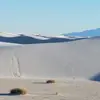 pattisipes179 - @pattisipes179 - TikTok