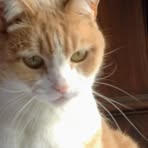 Patty Sisk - Facebook