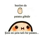 Şişko Pattizzz - @siskopattiz - Instagram