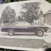 Pat Skaggs - Facebook