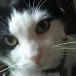 Pat Skaggs - @pat.skaggs.921 - Instagram